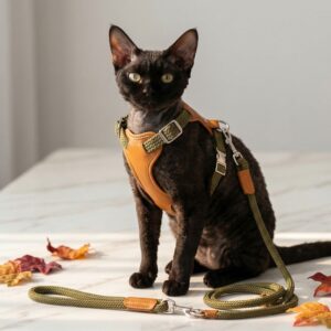 ElegantStep cat harness set leather and rope H-shape design