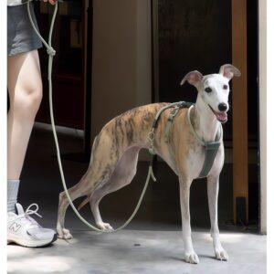 HiDREAM H-Shape Dog Harness – Leather & Rope Adjustable No-Pull Vest, Breathable Small Dog Harness