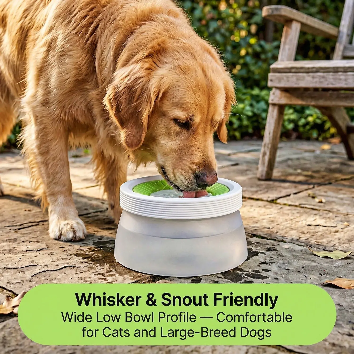 FloatBowl Pet Water Dispenser – No-Spill Floating Bowl, Large Capacity, Cat & Dog Water Feeder 1 A015 LIF 02