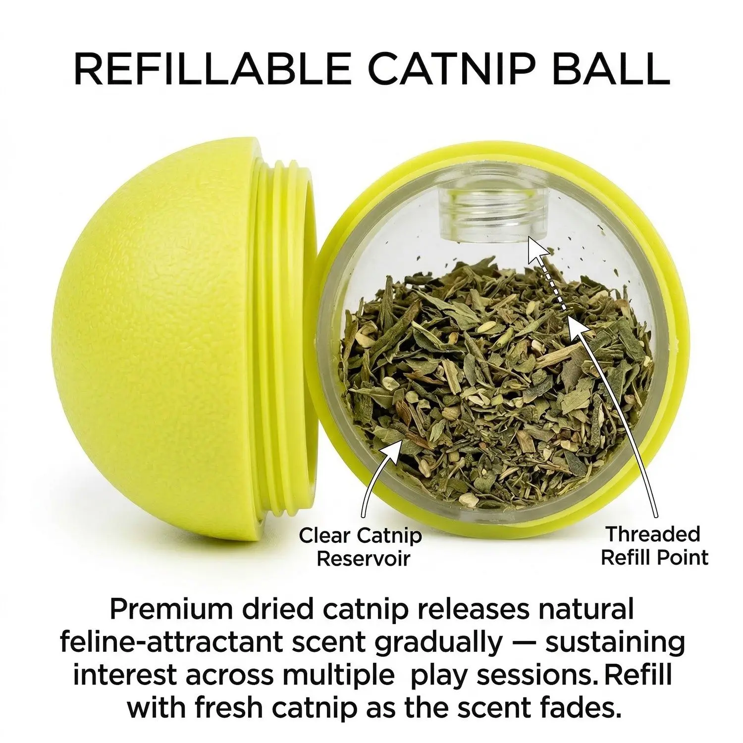 PlayPaw Tumbler Cat Toy Set – Self-Righting Wand, Catnip Ball & Spinning Turntable Interactive Toy 9 Setup Instructions