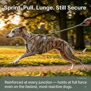 HiDREAM H-Shape Dog Harness Leather Rope Adjustable - product image