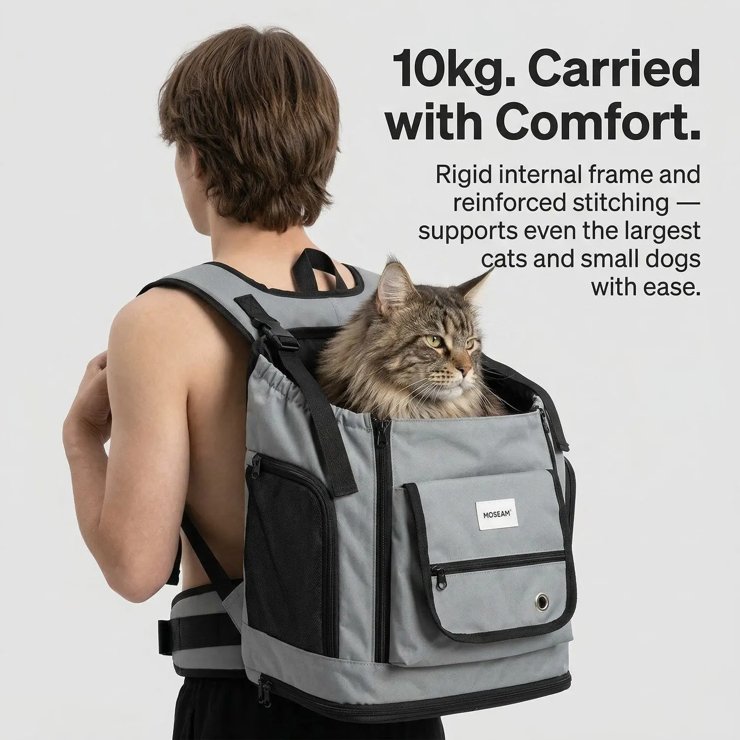 ExploreVest HiDREAM Large Pet Backpack – Front Chest & Shoulder Dual-Mode, Breathable Cat & Dog Carrier 8 Pet safety carrier in action