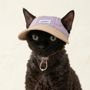 HiDREAM Pet Sun Hat UV Protection Cat Dog - product image