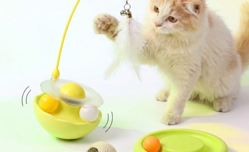 cat-toys-indoor-square