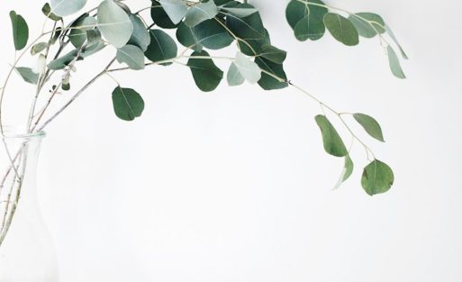 ivy-ai-smart-planter-hero-sq