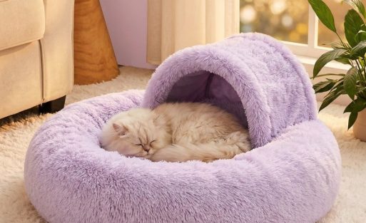 pet-friendly-home-square